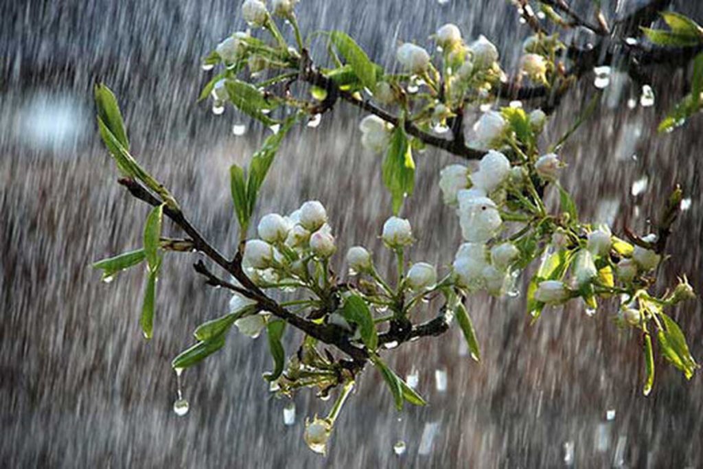 آژیر قرمز در قم به صدا درآمد!