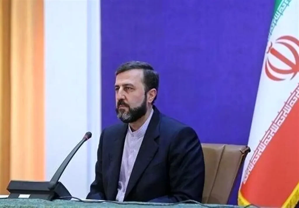 واکنش مشاور عراقچی به خبرسازی گروهک منافقین درباره غریبآبادی
